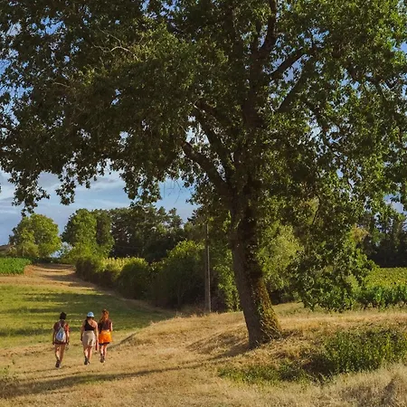 Les Hauts De Couette-café